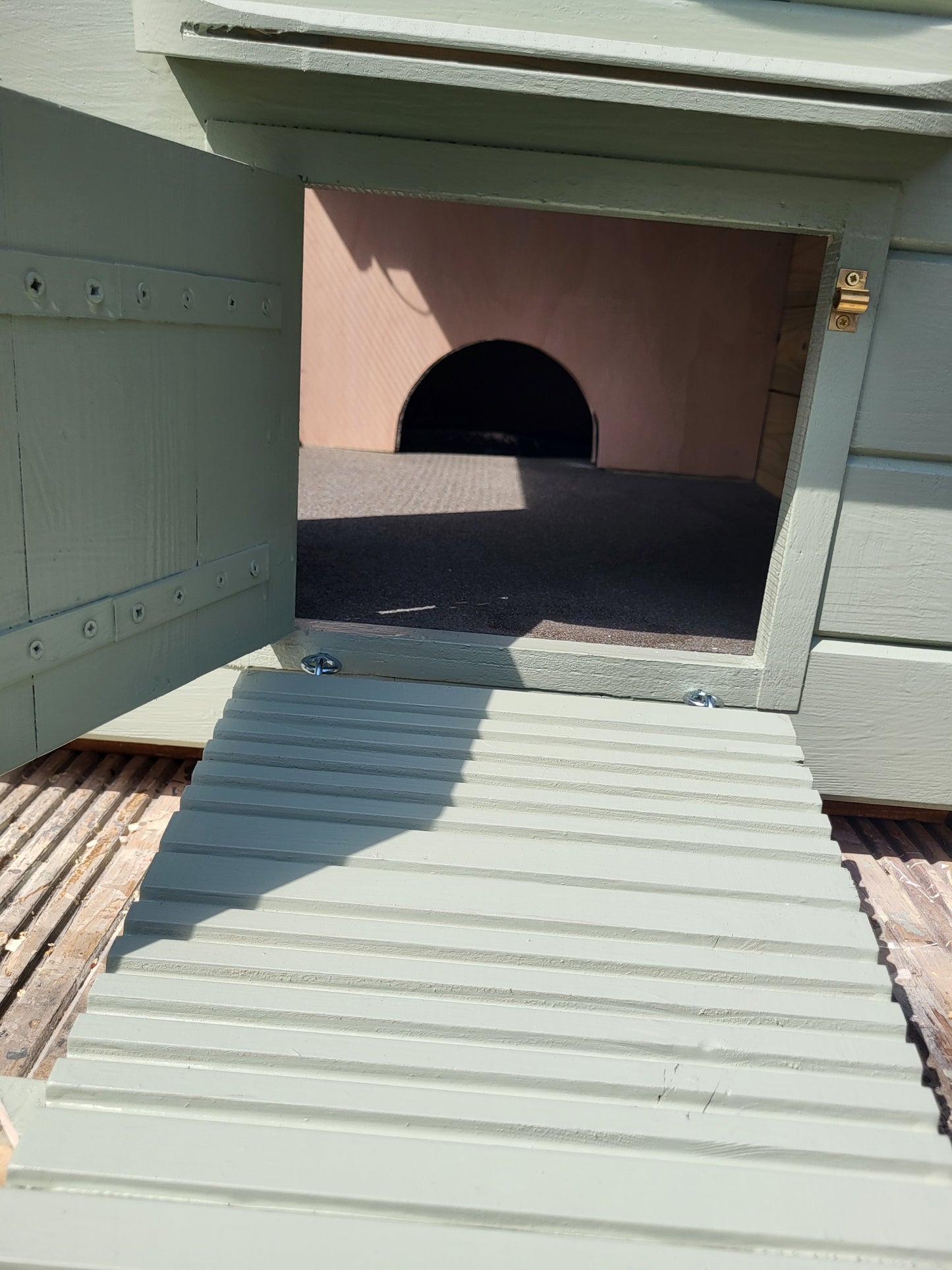Insulated Tortoise House