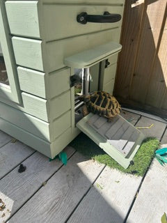 Insulated Tortoise House — Handmade to Order