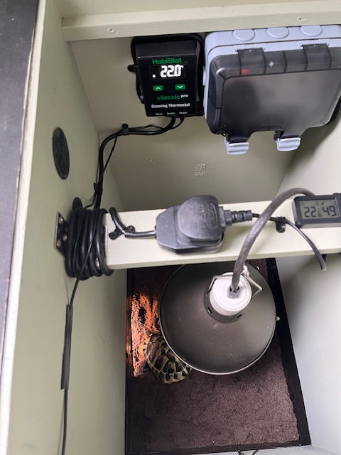 Insulated Tortoise House