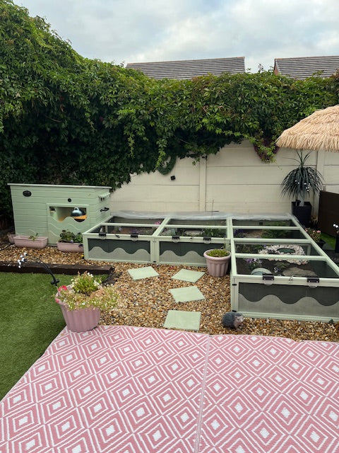 DRAFT PROOFED TORTOISE HOUSE