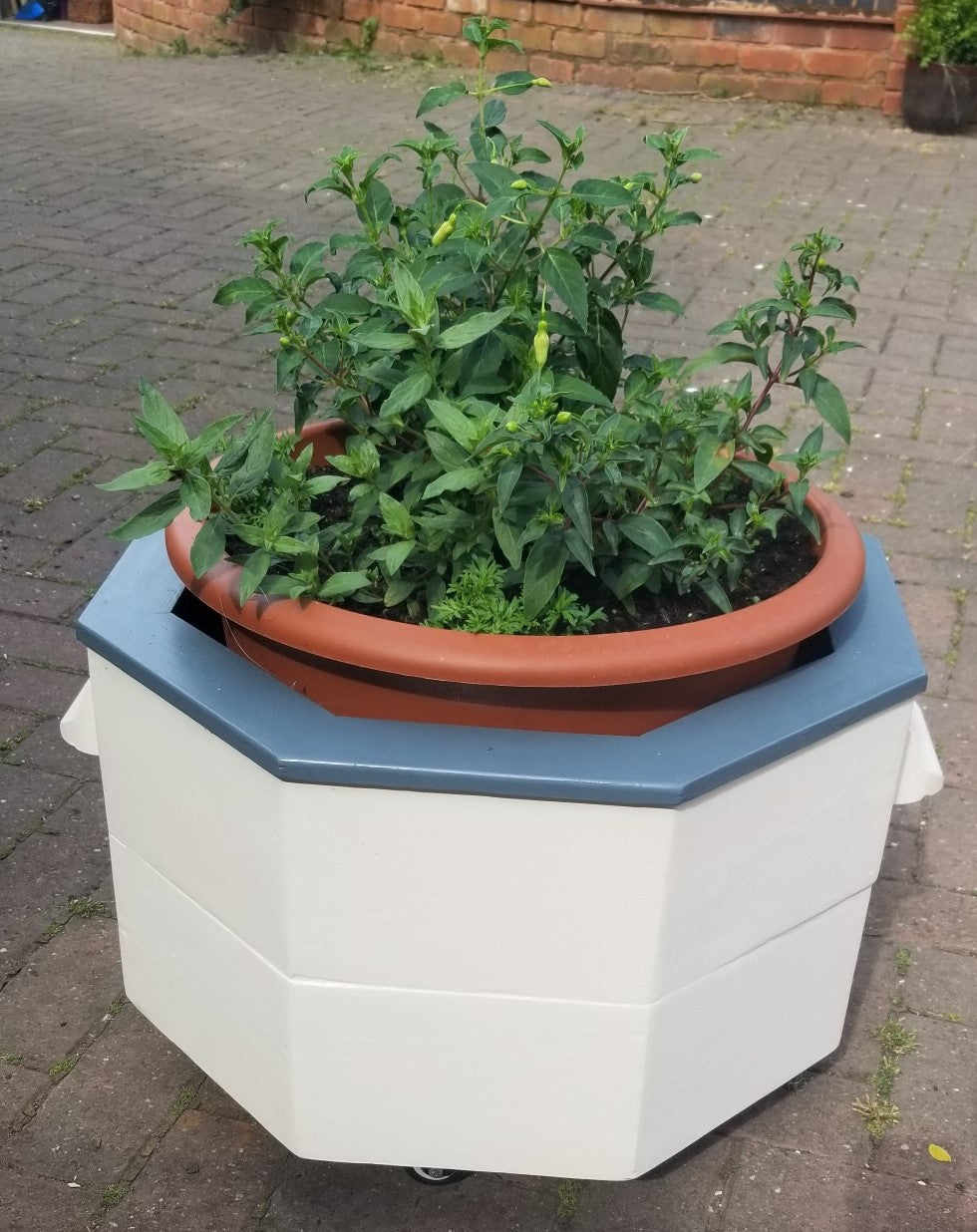 Planter (With wheels)