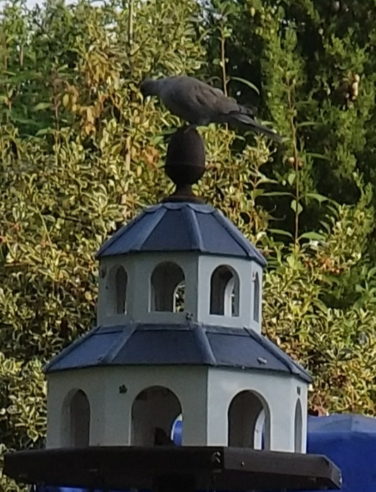 BIRD TABLE Maintenance and Position