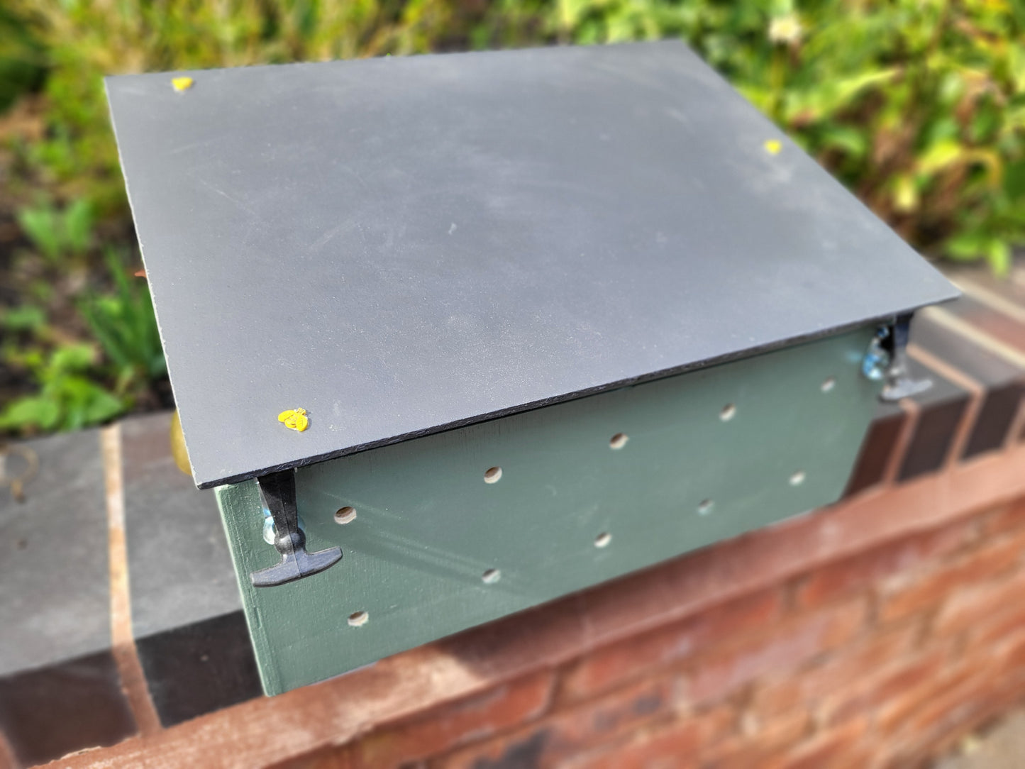 Solitary Bee Emergence/Hatching Box - NEW