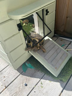 Insulated Tortoise House — Handmade to Order