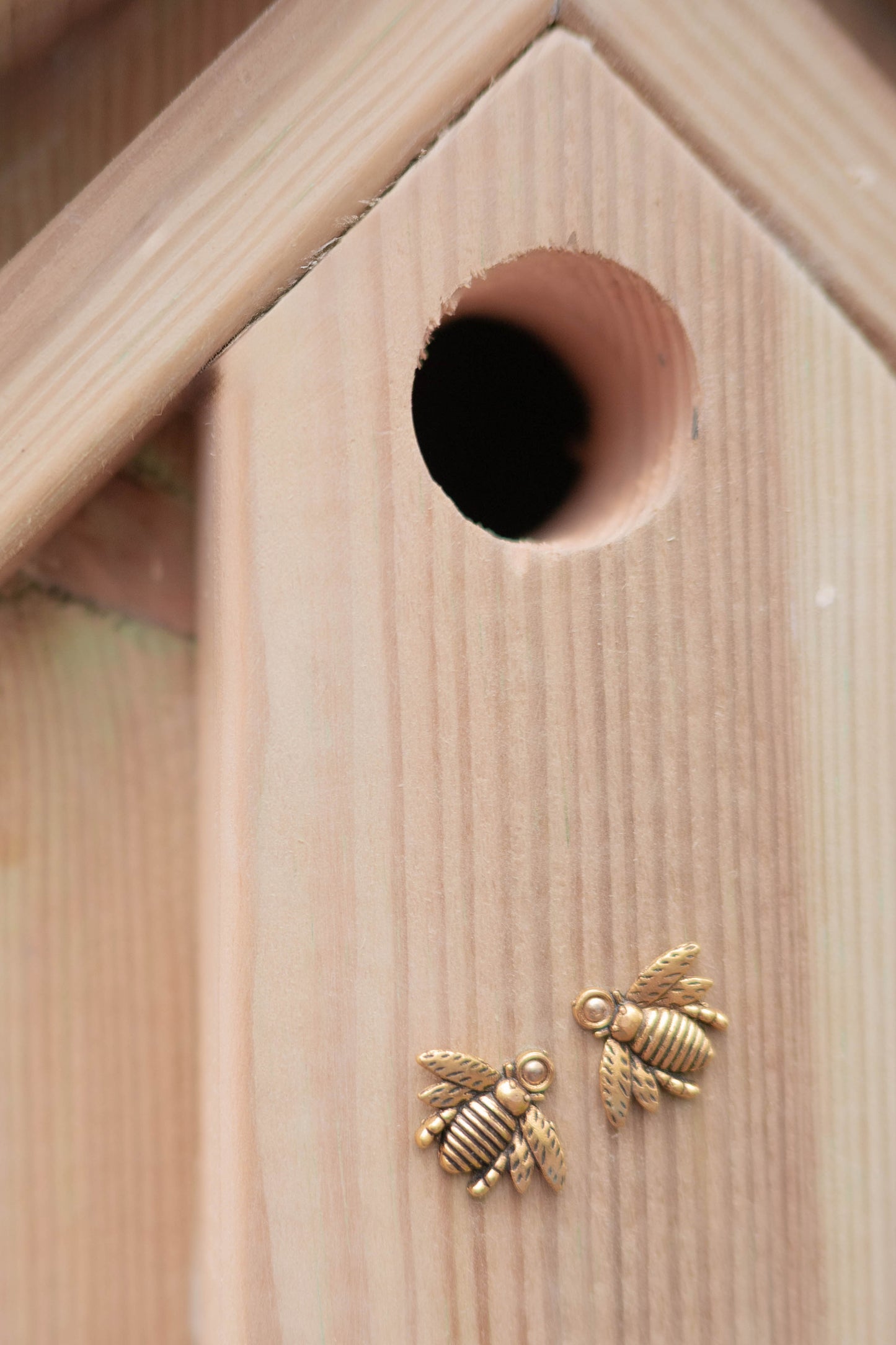 Rustic Oak Bird Box — Limited Run