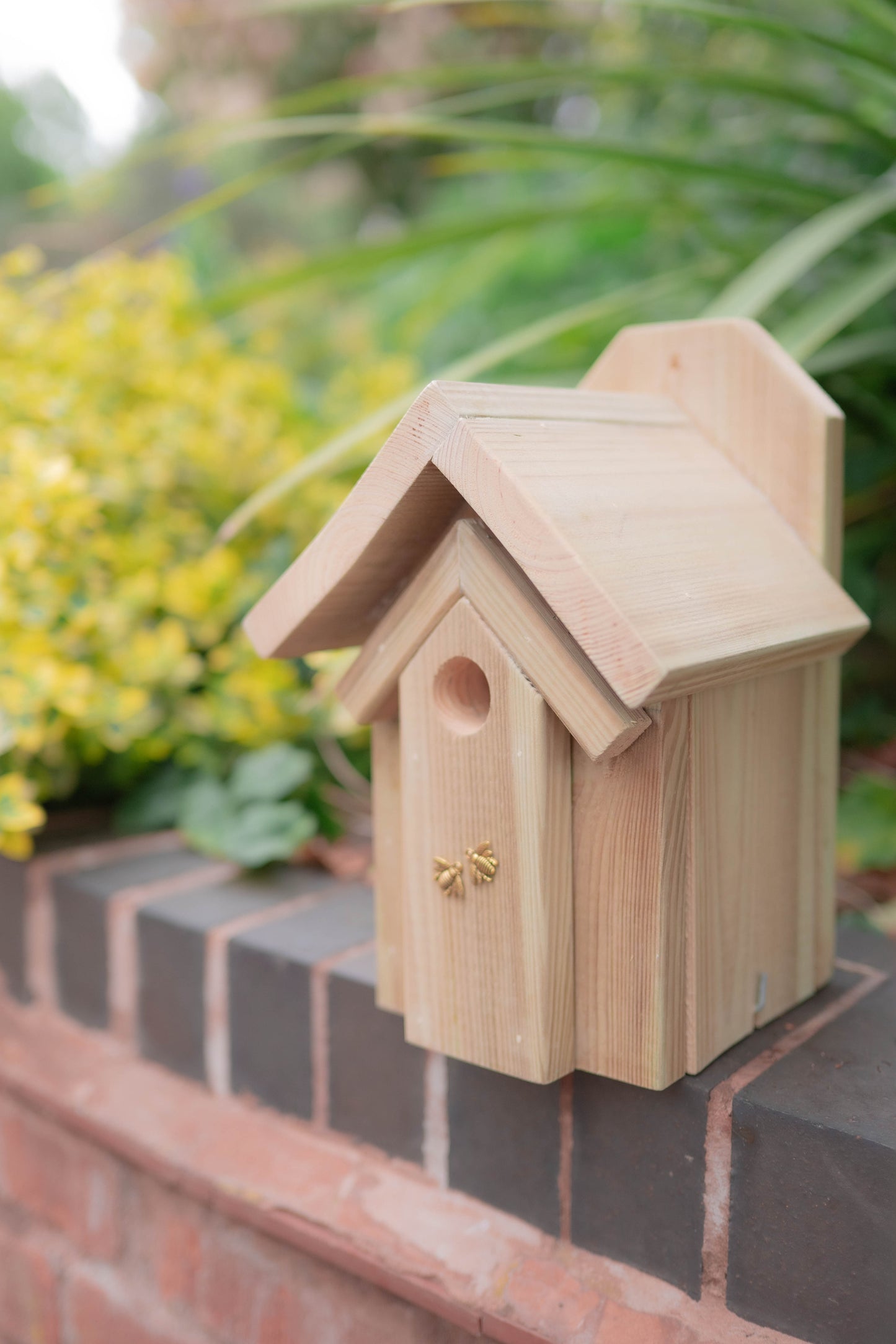 Rustic Oak Bird Box — Limited Run