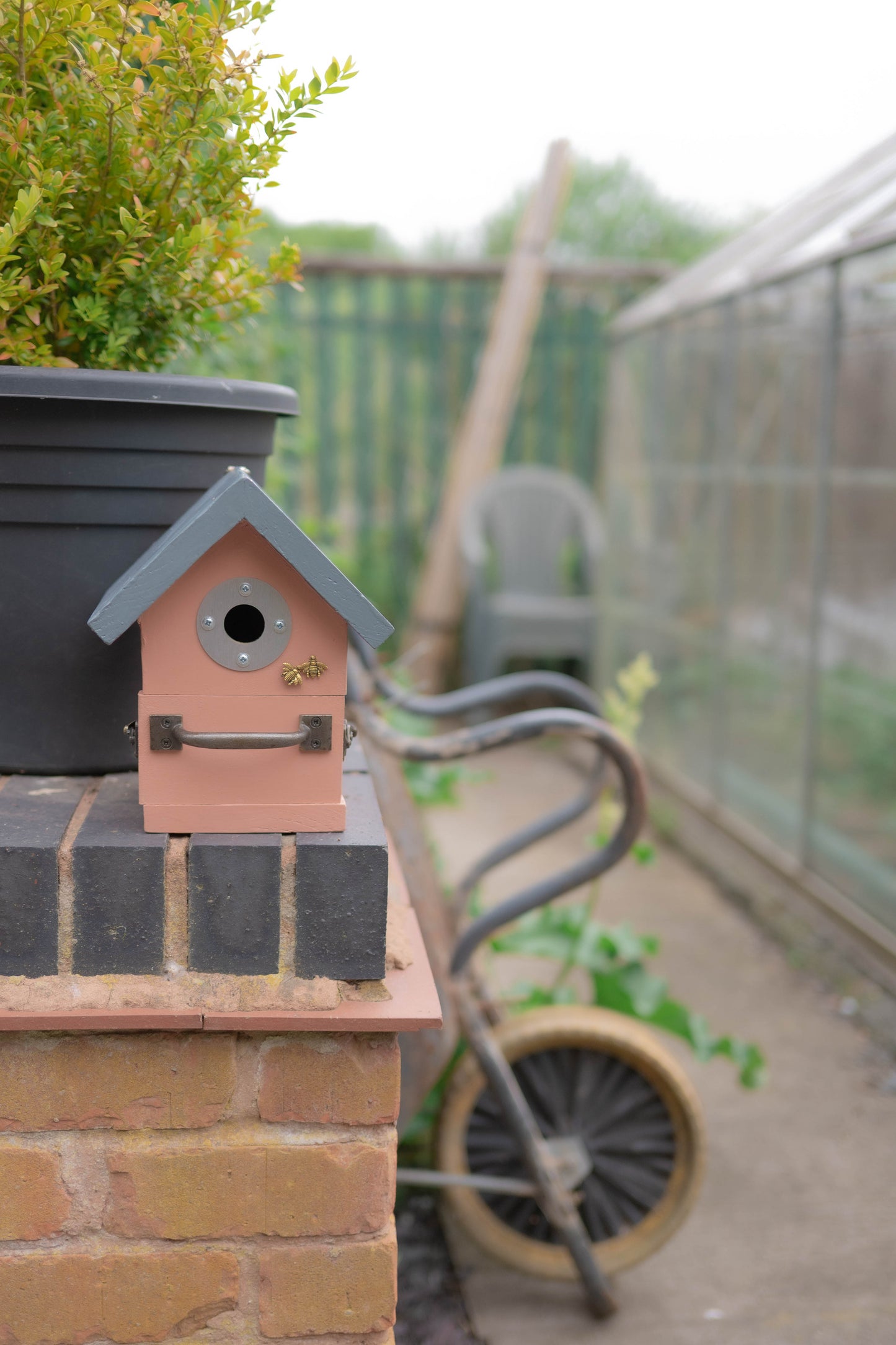 Bird Box — Great Tit, Blue Tit, Coal Tit & Wren