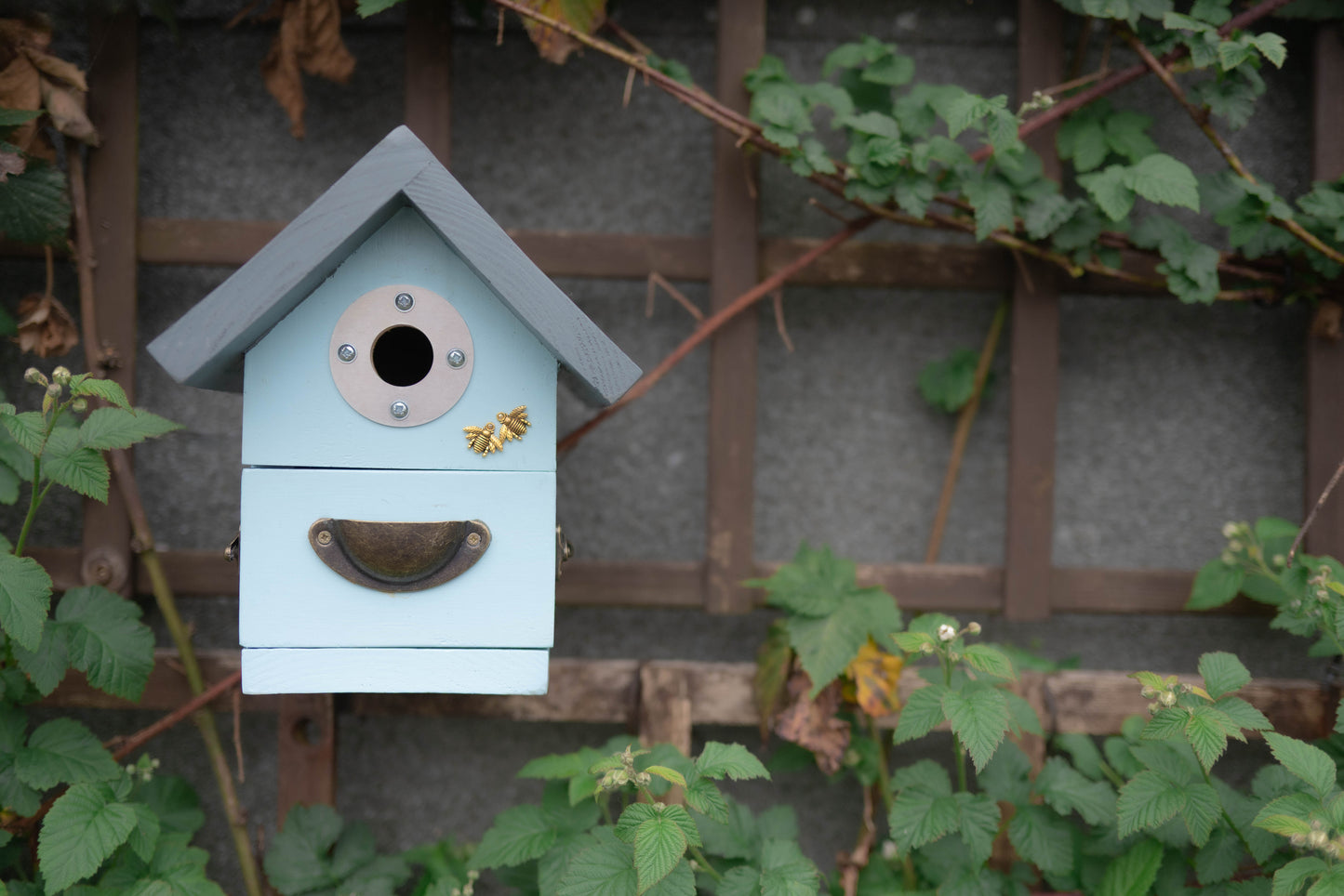 Bird Box — Great Tit, Blue Tit, Coal Tit & Wren