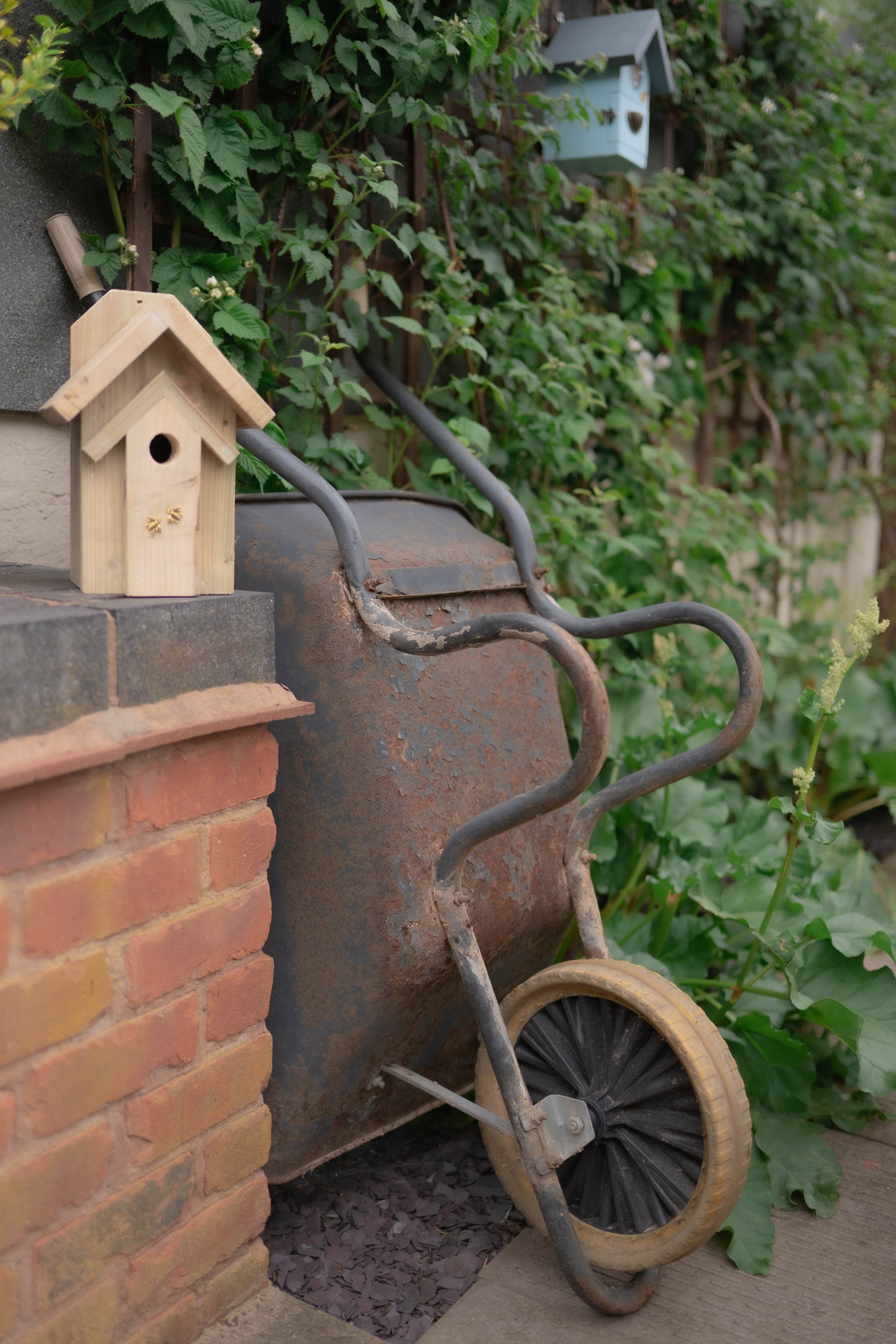 Rustic Oak Bird Box — Limited Run