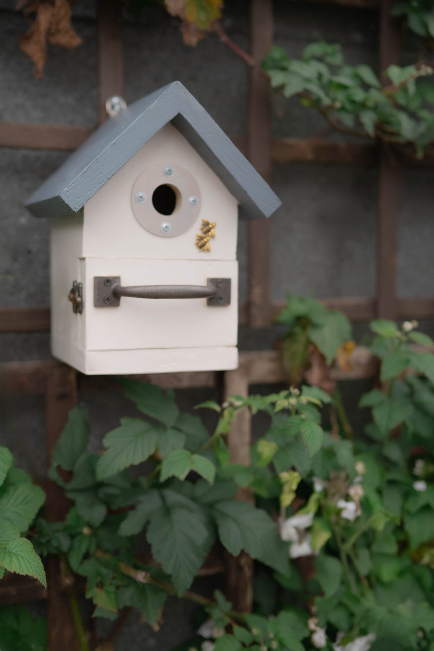 Bird Box — Great Tit, Blue Tit, Coal Tit & Wren