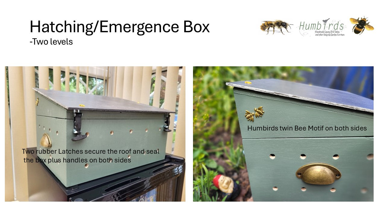 Solitary Bee Emergence/Hatching Box - NEW