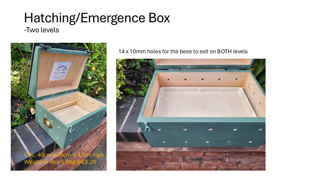 Solitary Bee Emergence/Hatching Box - NEW