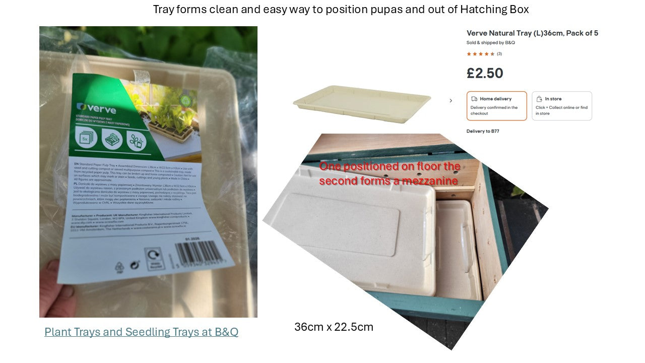 Solitary Bee Emergence/Hatching Box - NEW