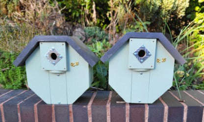 Birdbox for Robin, Sparrow and Finches