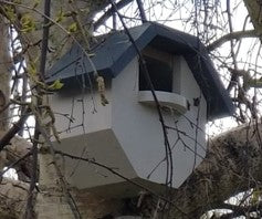 Birdbox for Robin, Sparrow and Finches