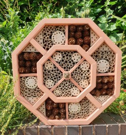 Bee Hotel